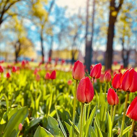 Schoene Aussichten Mitten In Berlin - Il Sole Экстерьер фото
