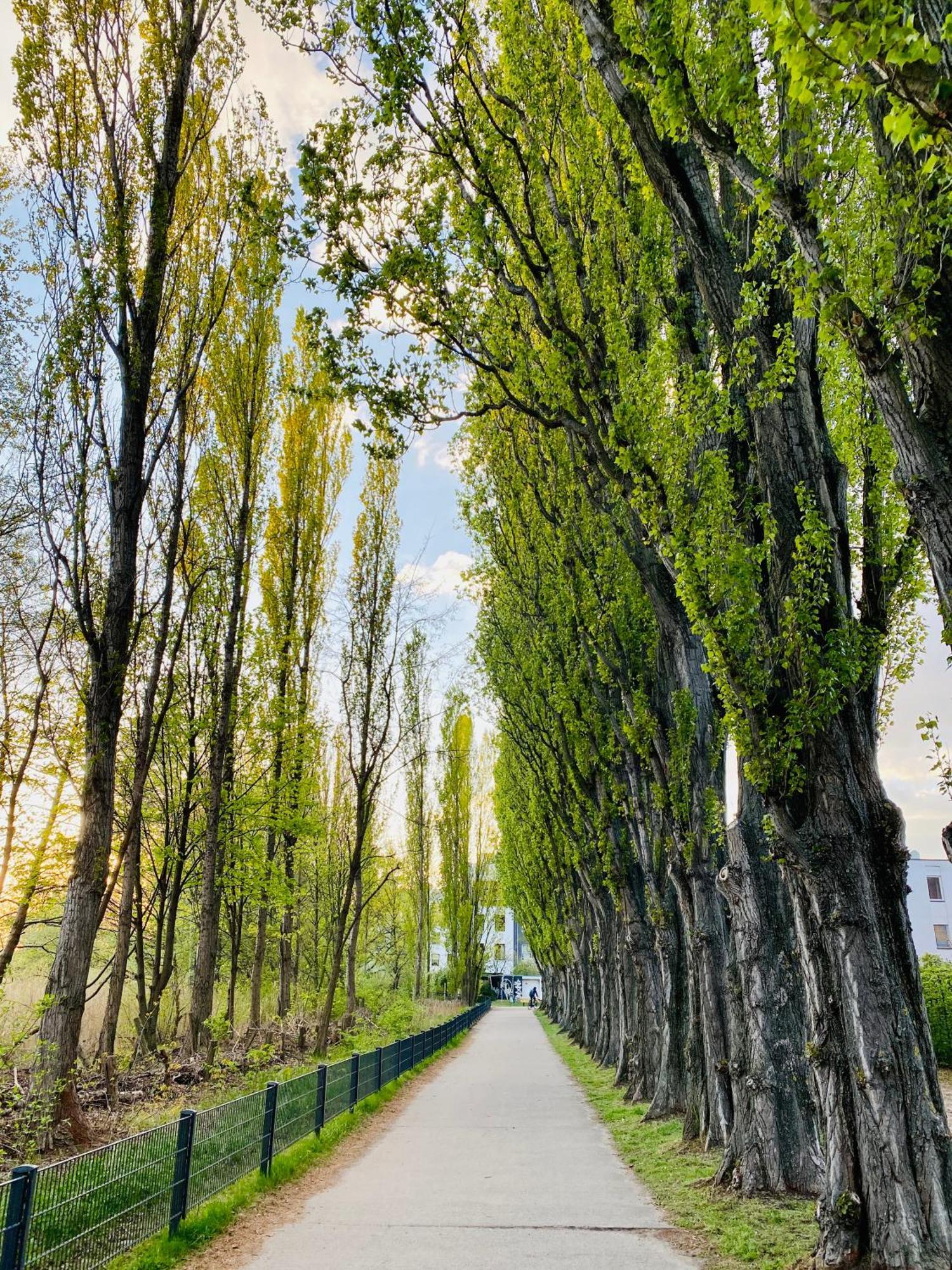 Schoene Aussichten Mitten In Berlin - Il Sole Экстерьер фото